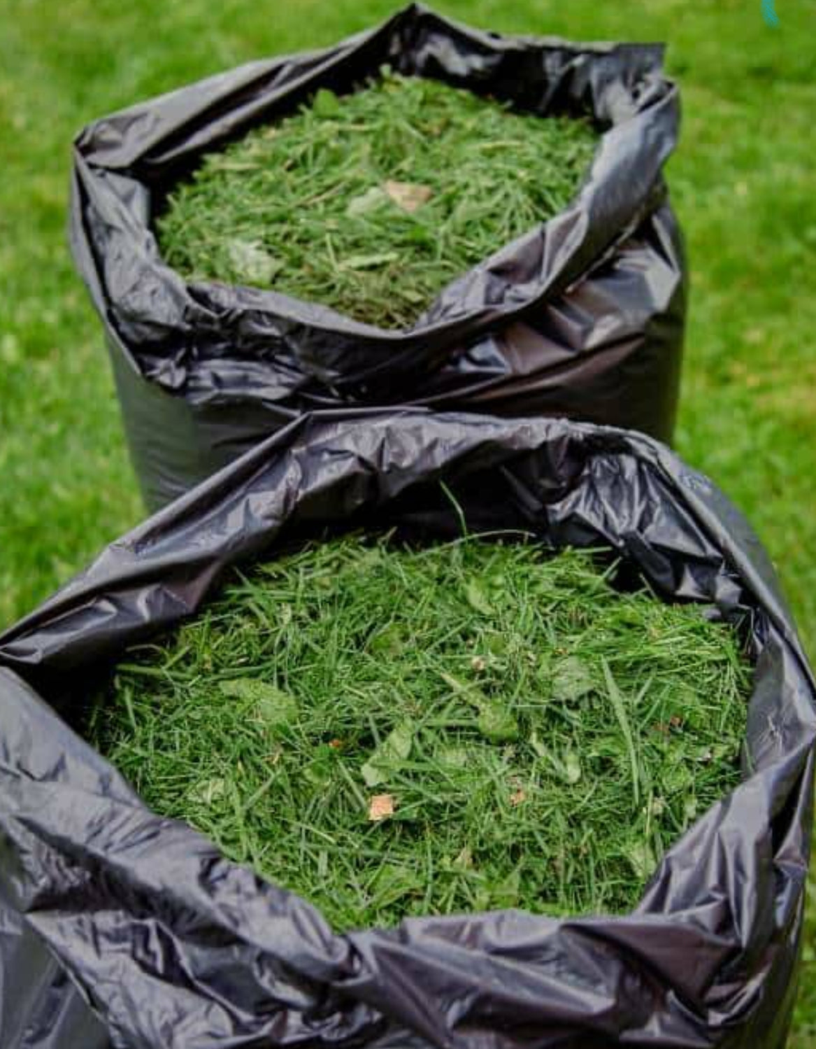 Add on 1 Bag Clippings