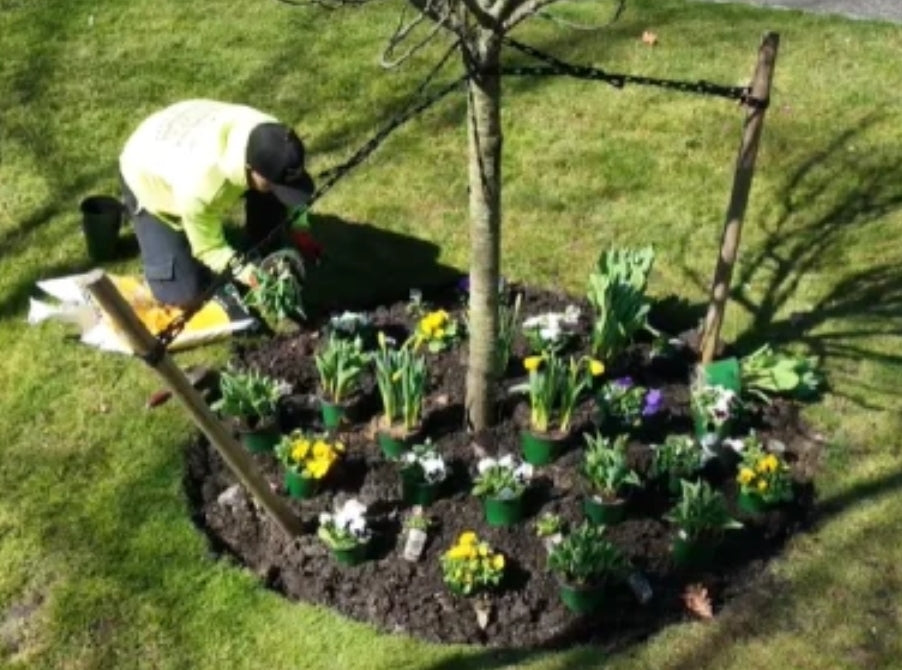 Add on 4 Flower Bed cleanup