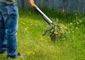 Weed Removal