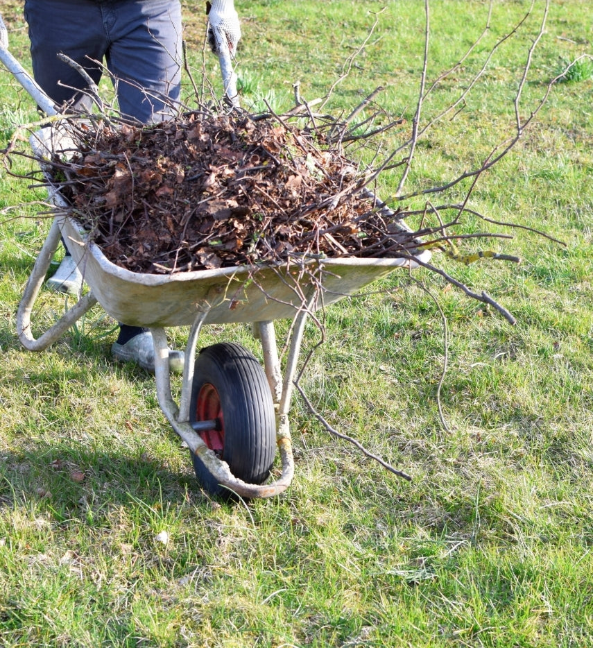 Yard Cleanup