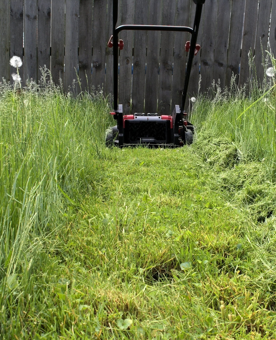 Overgrown Grass Cut